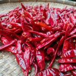 Dry Chilly(सुकेको खुर्सानी) - Image 2