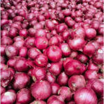 Dry Onion( प्याज) - Image 2