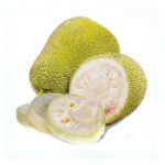 jackfruit (रुख कटर) - Image 2