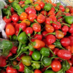 Chilli aakabare (अकबरे) - Image 3